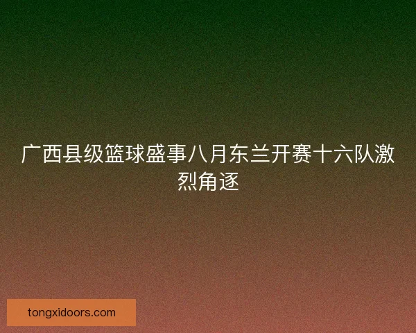 广西县级篮球盛事八月东兰开赛十六队激烈角逐 广西县级篮球盛事八月东兰开赛十六队激烈角逐