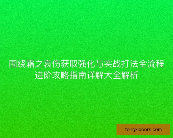围绕霜之哀伤获取强化与实战打法全流程进阶攻略指南详解大全解析 围绕霜之哀伤获取强化与实战打法全流程进阶攻略指南详解大全解析