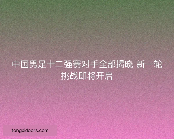 中国男足十二强赛对手全部揭晓 新一轮挑战即将开启