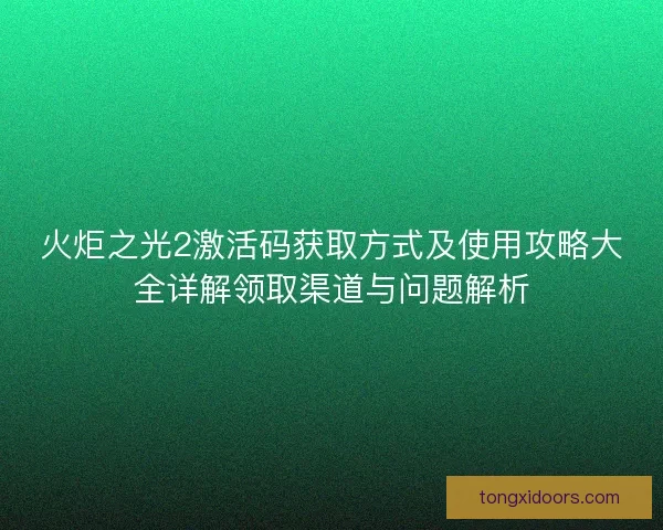 火炬之光2激活码获取方式及使用攻略大全详解领取渠道与问题解析